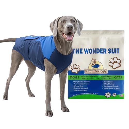How long is the surgery to neuter a dog