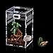 YADIMI Caja de Alimentación de Insectos, Cría de Reptiles de Acrílico, 12x12x20cm Acrílico Transparente Estuche de Cría de Reptiles para Spide Lagartija Escorpión Ciempiés Rana cornuda Escarabajo