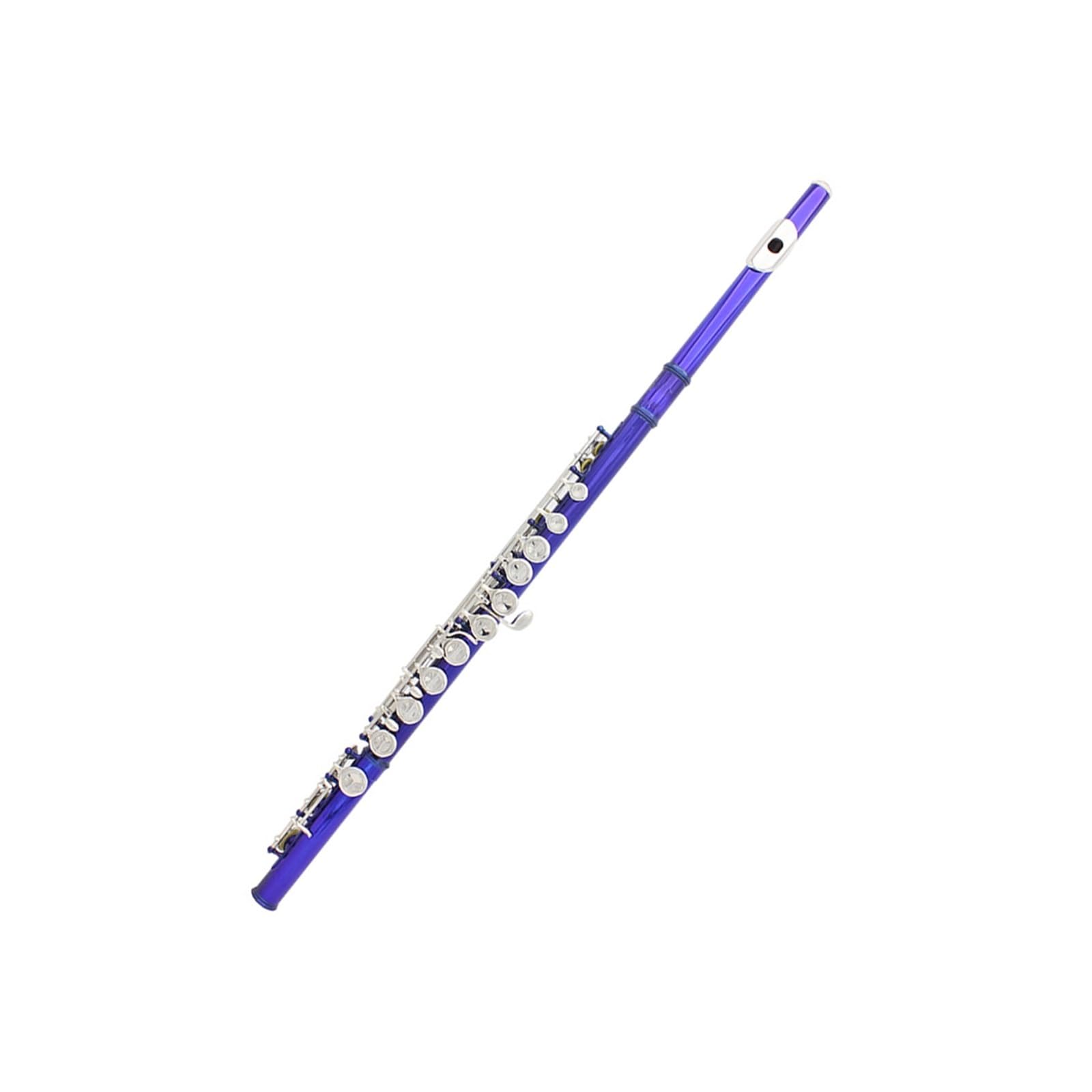 Flauta Flauta azul de 16 agujeros flauta con llave C con caja de cuero bolsa para flauta accesorios para instrumentos juego de limpieza