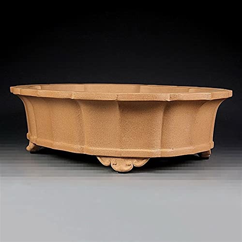 Pot bonsaï sable violet TUSUOD grand format anti-humidité - 8