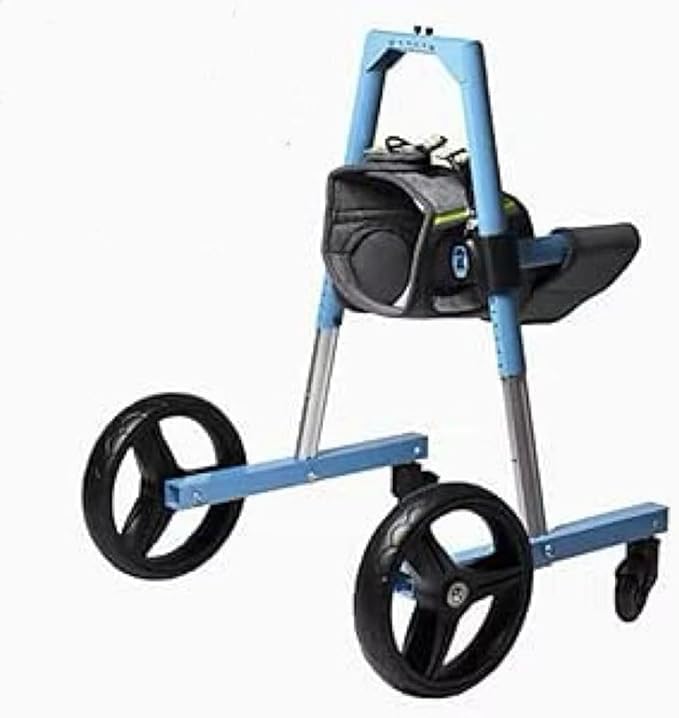 Fauteuil roulant pour chien handicapé redonnez une seconde vie à votre fidèle compagnon