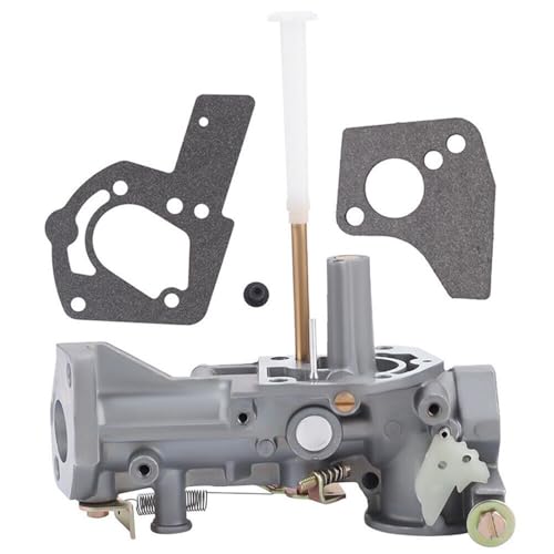 Carburateur 495460 pour réparer les fuites de moteur 5HP