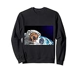 Photo Gallery dog in space rhodesian ridgeback felpa Photo Gallery dog in space rhodesian ridgeback felpa