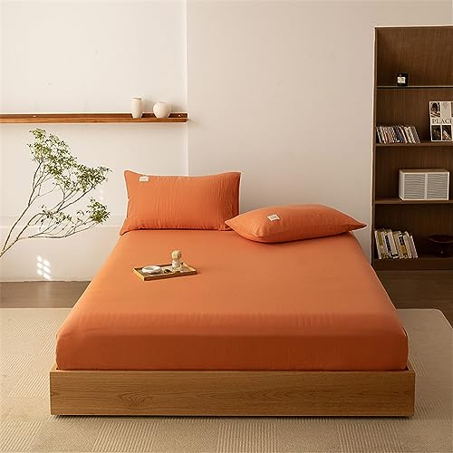 LAIKOR {bNXV[c Jo[ I[V[Y Vv 􂦂 x vg VO 􂦂 xbgpZbg vg  Yh~ 􂢉H [X k ؍vZX lGp ʔNQ _炩 K  VO