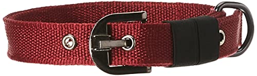 Image of Pets Like Polyester Collar and Leash Set 25 mm(Maroon), (GE-COPC013)