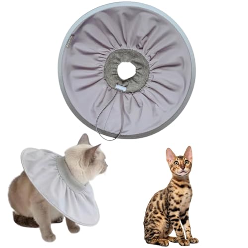 LifetipsxKL xKLp GUxXJ[ h \tg y pPA ی Ȃߖh~ p EȒP 􂦂 PAJ[([~XgO[j(Lj