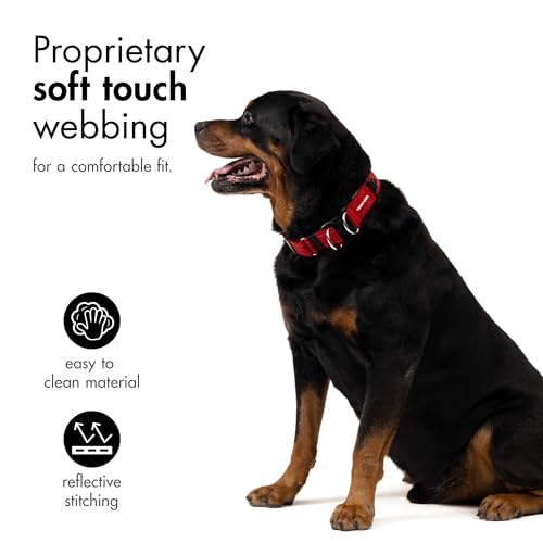 EzyDog Double Up Halsband, schwarz, Small (22cm - 29cm)