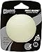 Chuckit! Glow in the Dark Bouncy Balls - Ball for Dogs, Chuckit Dog Toy, Max Glow Balls - Medium, 2.5 Inch, Pack of 1