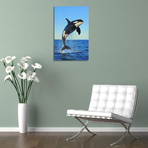 Orca sautant hors de la mer déco pour dynamiser un mur blanc