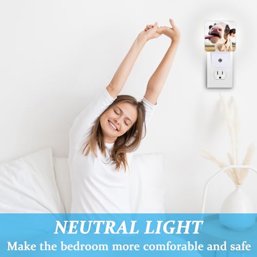 Image of Cute Cow Night Light, Plug-into Wall Farmhouse Animals Nightlight Lamp with Dusk to Dawn Sensor, Led Lamp 0.5W Energy Efficient for Boys Girls Adults Home Decor