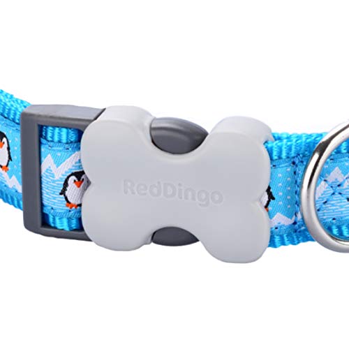 Red Dingo Hundehalsband mit Pinguin-Design, Türkis, Größe S