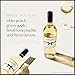 Chloe Wine Collection Pinot Grigio, White Wine, 750 mL Bottle