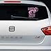Custom Vinyl Bebe a Bordo Personalizable con Nombre Princesa Leia