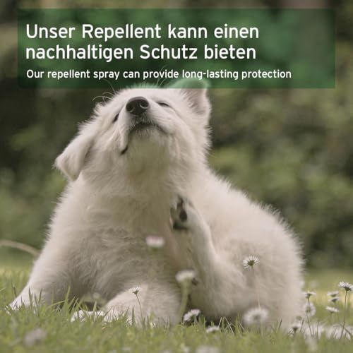 AniForte Ungeziefer-Ex Spray 500ml – Umgebungsspray bei akuten Befall gegen Mücken, Insekten, Milben, Läuse, Bettwanzen, Ungeziefer Spray für Zuhause, Hunde & Katzen Liegeplätze, Insektenspray Abwehr