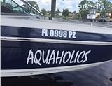 Boat #2 (Special Customization's) Boat or Auto Decal, Ex LRG max Size 18' x 40'
