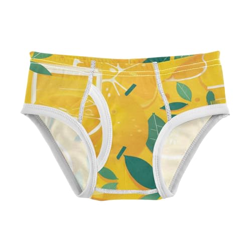 KLL Tropical Yellow Lemons Toddler Boys Comfort Underwear Briefs Cute Children Panties