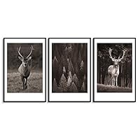 3 Piece Framed Canvas Wall Art Black and White Deer Canvas Prints Home Artwork Decoration for Living Room,Bedroom - 16