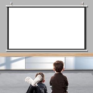 GSKDZG Manuell Beamer Leinwand Heimkino Projektionsleinwand 40 Zoll 50 Zoll 60 Zoll 72 Zoll HD Projektor Leinwand 4K Filmleinwand Für Indoor Outdoor, Anti-Falten(40 Inch (16:9))