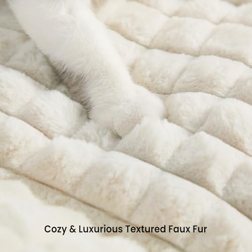 image for blunique Cat Beds for Indoor Cats - Cute Cat Couch Fluffy Pet Sofa wit