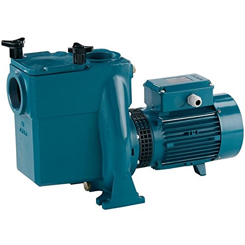 Calpeda - Pompa per piscina con filtro NMP50/12F/A, 2,2 kW, 3 HP, tre fasi 400 V, 50 Hz,