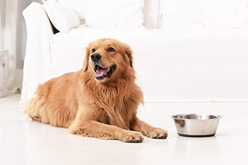 PEGGY11 Stainless Steel Metal Dog Bowls, Nonslip Rubber Bottom, Premium Food Water Pet Bowls for Dog, Cats, Food Grade, BPA Free, Dishwasher Safe, Easy to Clean, 1900ML, 2 Pack, For Large Dogs