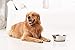 PEGGY11 Deep Stainless Steel Anti-Slip Dog Bowls - 2-Pack, 8 Cups