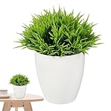 Facile à nettoyer : petites fausses bénéficient d'une excellente construction, avec des matériaux de haute qualité qui garantissent leur beauté . Ils résistent à la décoloration et à la déformation et conservent leur couleur et leur forme d'origine dans diverses conditions climatiques. Maintenez sans effort leur excellente décoration et leur propreté en toute simplicité