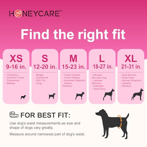 Honey Care A31 All-Absorb Disposable Female Dog Diapers Small Size thumb #4