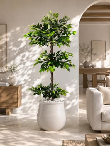 Image of Artificial Ficus Plant with Pot | 180 cm (6 ft) Tall | Premium Realistic Indoor Decorative Tree for Home, Office & Commercial Spaces