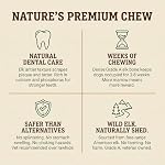 Heartland Elk Antlers for Dogs - Daily Dental Care Chews for Aggressive Chewers to Reduce Plaque & Prevent Destructive Behavior (Whole, Splinter Free, 5-6", Medium, 1-Pack, Grade A, USA Made) - Image 5