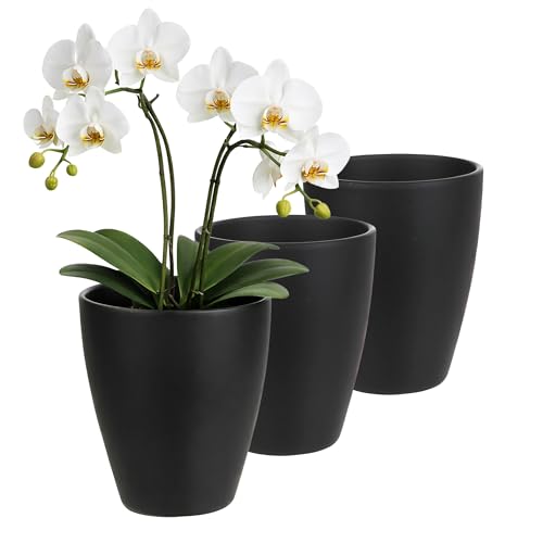 Annastore 3 x Orchideentopf aus Keramik Ø 13 5 cm x 17 cm mit Erhöhung