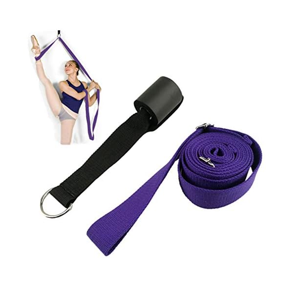 WiseLight-Leg-Stretcher-Adjustable-Door-Flexibility-Stretching-Leg-Strap-Great-for-Ballet-Cheer-Dance-Gymnastics-Taekwondo-or-Any-Sport-Leg-Stretcher-Door-Trainer-Stretching-Equipment WiseLight Leg Stretcher Adjustable Door Flexibility Stretching Leg Strap Great for Ballet Cheer Dance Gymnastics Taekwondo or Any Sport Leg Stretcher Door Trainer Stretching Equipment, Purple