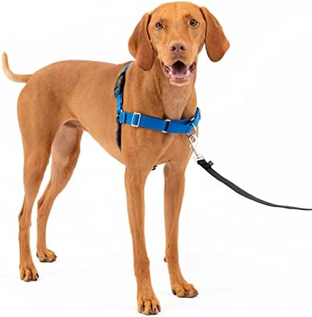 PetSafe Easy Walk No-Pull Dog Harness - The Ultimate Harness to Help Stop Pulling - Take Control & Teach Better Leash Manners - Helps Prevent Pets Pulling on Walks - Medium, Royal Blue/Navy Blue