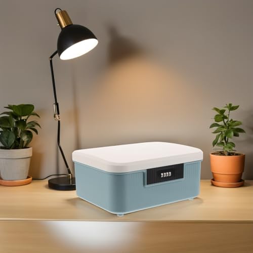Coffre de rangement 9L BESTYASH verrouillable pour papiers et documents