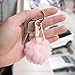 Wikavanli Metal Keychains Keyring Key Chain Ring Clip Holder Organizer for Home Car Keys Key Finder Women Men (2, Rose Gold Black)