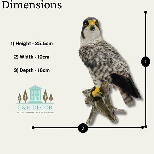 G&H Decor Peregrine Falcon 26cm Resin Statue - Amazing Detail British Falcon - Weather Resistant Bird Ornament - Image 2
