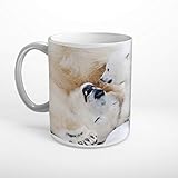 DesFoli Eisbär mit Bärenbaby Tasse Spruch Motiv Fototasse Kaffeebecher T0528