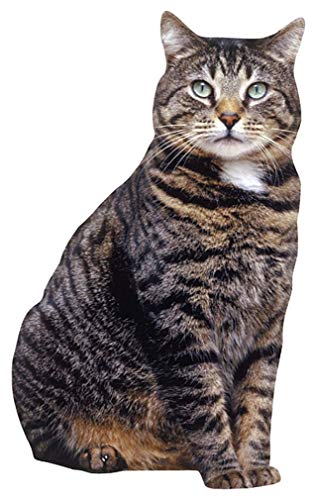 Paper House Productions 3.5