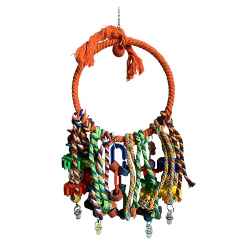 P[WpIÊ - ͂ƃxo[hvCWA`[COGNTTCYZ^[R[RJ`GubW[|NC~O[vp[`XCOZbgybg̔ZkANZT[