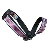 Kurgo Snout About Strap Head Halter & Training Dog Head Collar, Coastal Blue, Medium