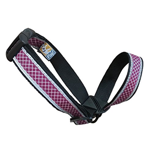 Kurgo Walk About Head Halter - No Pull Head Halter for Dogs - Provides Gentle Control - Reflective Trim - Completely Adjustable - Quick-Release Buckle - Vet Recommended - Medium - Raspberry Purple