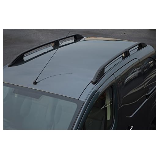 ALVM Partes y Accesorios Negro portaequipajes para L1 Partner (2008-18)