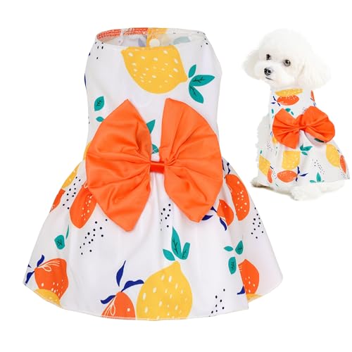 choyaxo t[hbOhX 킢̃XJ[g ybghX ėpybg q ȔL