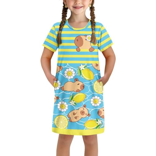 Little Girls Capybara Dress Summer Cute Clothes Home Play Skater Midi T-Shirt Dress for Kids 3-4T Loose Fit