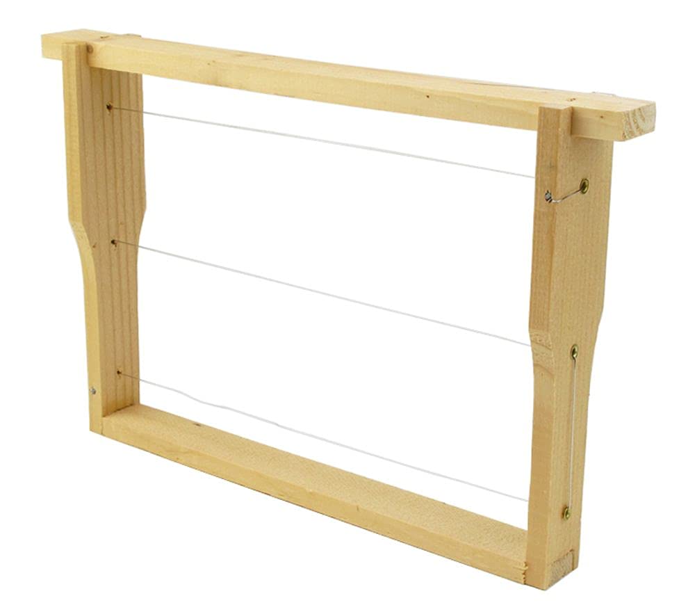 Mini Plus Beute aus Holz mit Rahmen und Futtertasche