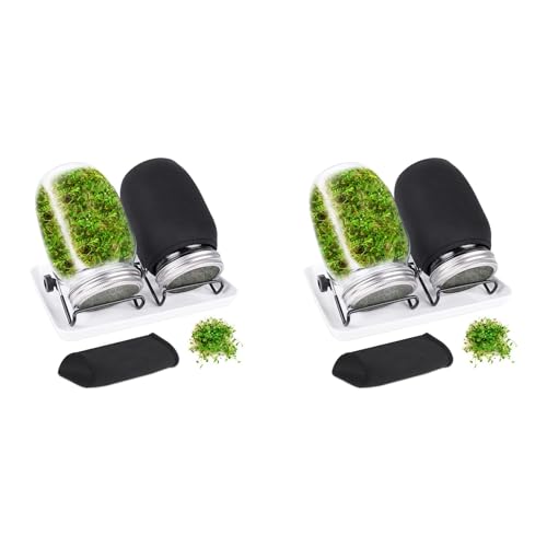 Kit de pots de germination de graines pour éliminer les risques de moisissures - 2