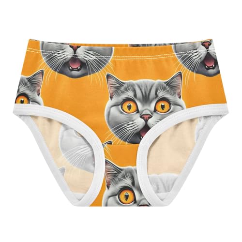 Designer Toddler Underwear Floral 2t Cotton Cute Panties Girl Cute Cat Faces Orange Animal Briefs Undies Kids