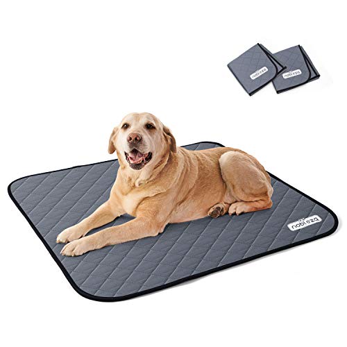 Nobleza - 2* Tapis Educateur Chien Ultra Absorbant, Tapis Apprentissage Propreté pour Chiot, Alese pour Chien Lavable pour Remplacer Alèses Jetable, Tapis Pipi éducation Réutilisables, L (81 * 72cm)