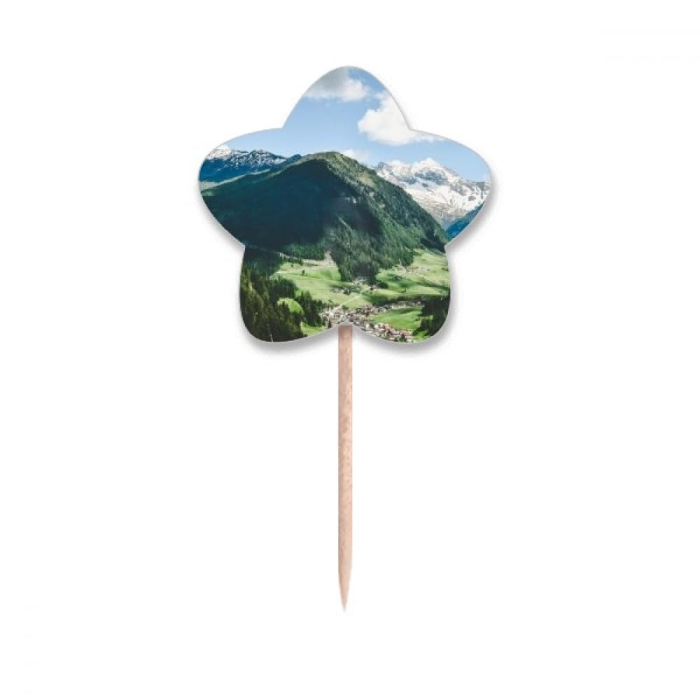 Cure-dents drapeaux étoiles Mountain City Clouds pique bois cocktail party