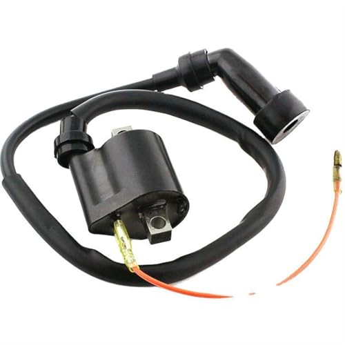Bobina de encendido para Warrior 350, YFM350 y YFM 350 (1987 - 1988), modificación